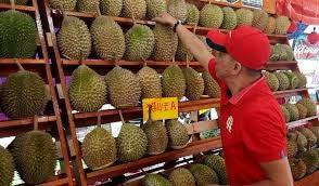 Desaru Day Tour: Fruit Farm, Desaru Beach, Kampung Sungai Rengit & Mega Mall (Day)