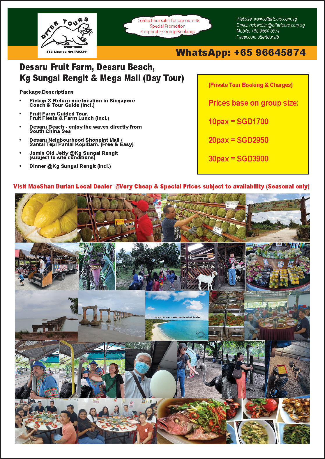 Desaru Day Tour: Fruit Farm, Desaru Beach, Kampung Sungai Rengit & Mega Mall (Day)