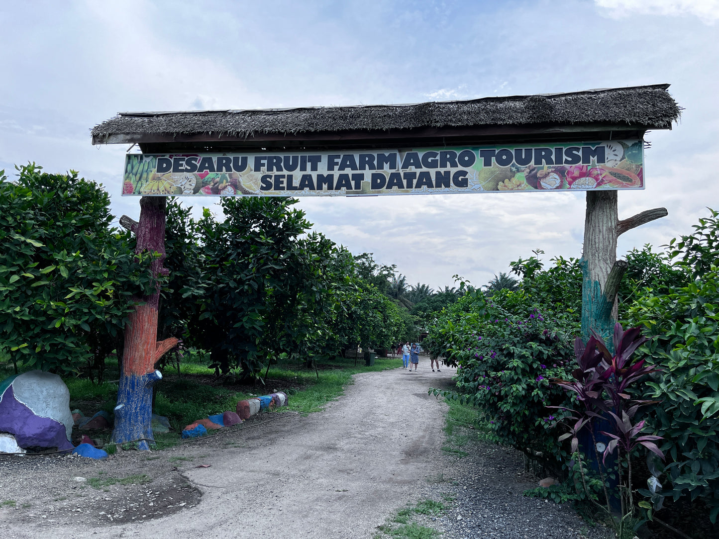 Desaru Day Tour: Fruit Farm, Desaru Beach, Kampung Sungai Rengit & Mega Mall (Day)