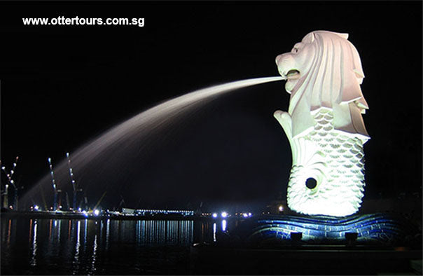 ChinaTown, Seafood Dinner at Popular Hawker Centre and Singapore River Cruise (Half Day Tour Package)