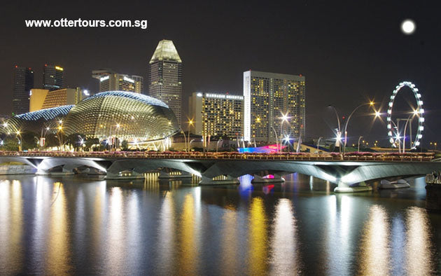 ChinaTown, Seafood Dinner at Popular Hawker Centre and Singapore River Cruise (Half Day Tour Package)