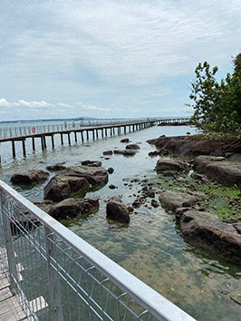 Pulau Ubin -Seafood Lunch and Chek Jawa Tour