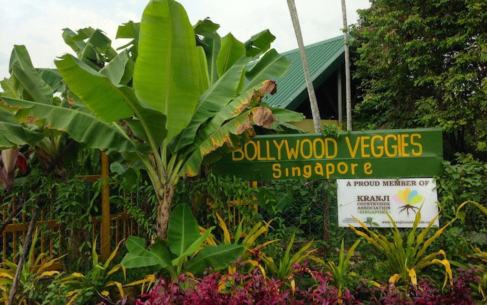 Kranji Countryside Tour with Farm Cafe Lunch and visit to various attractions at Kranji (5hrs)