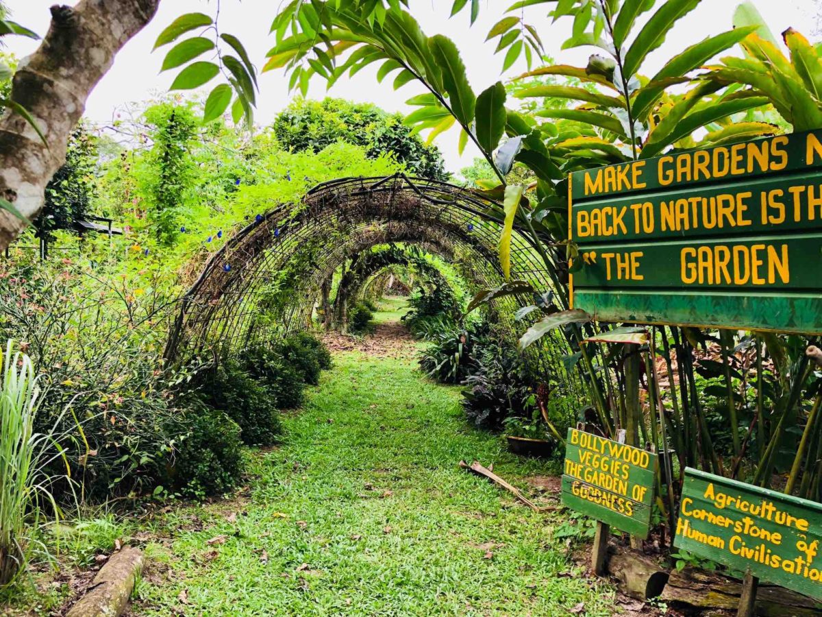 Kranji Countryside Tour with Farm Cafe Lunch and visit to various attractions at Kranji (5hrs)