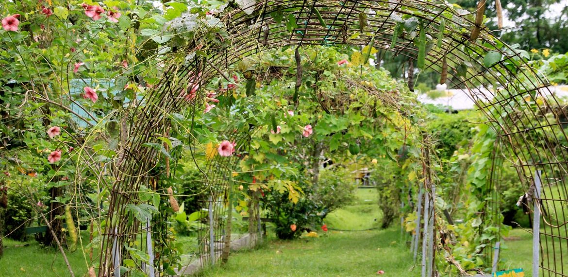 Kranji Countryside Tour with Farm Cafe Lunch and visit to various attractions at Kranji (5hrs)