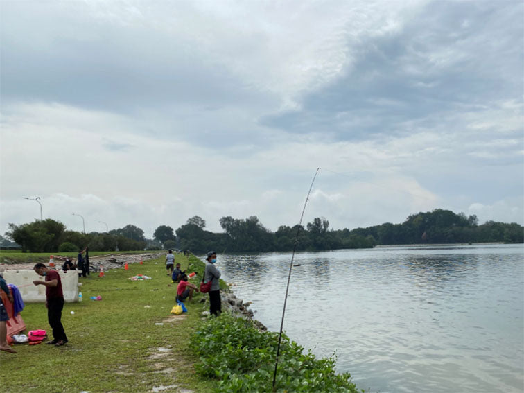 Kranji Countryside Tour with Farm Cafe Lunch and visit to various attractions at Kranji (5hrs)