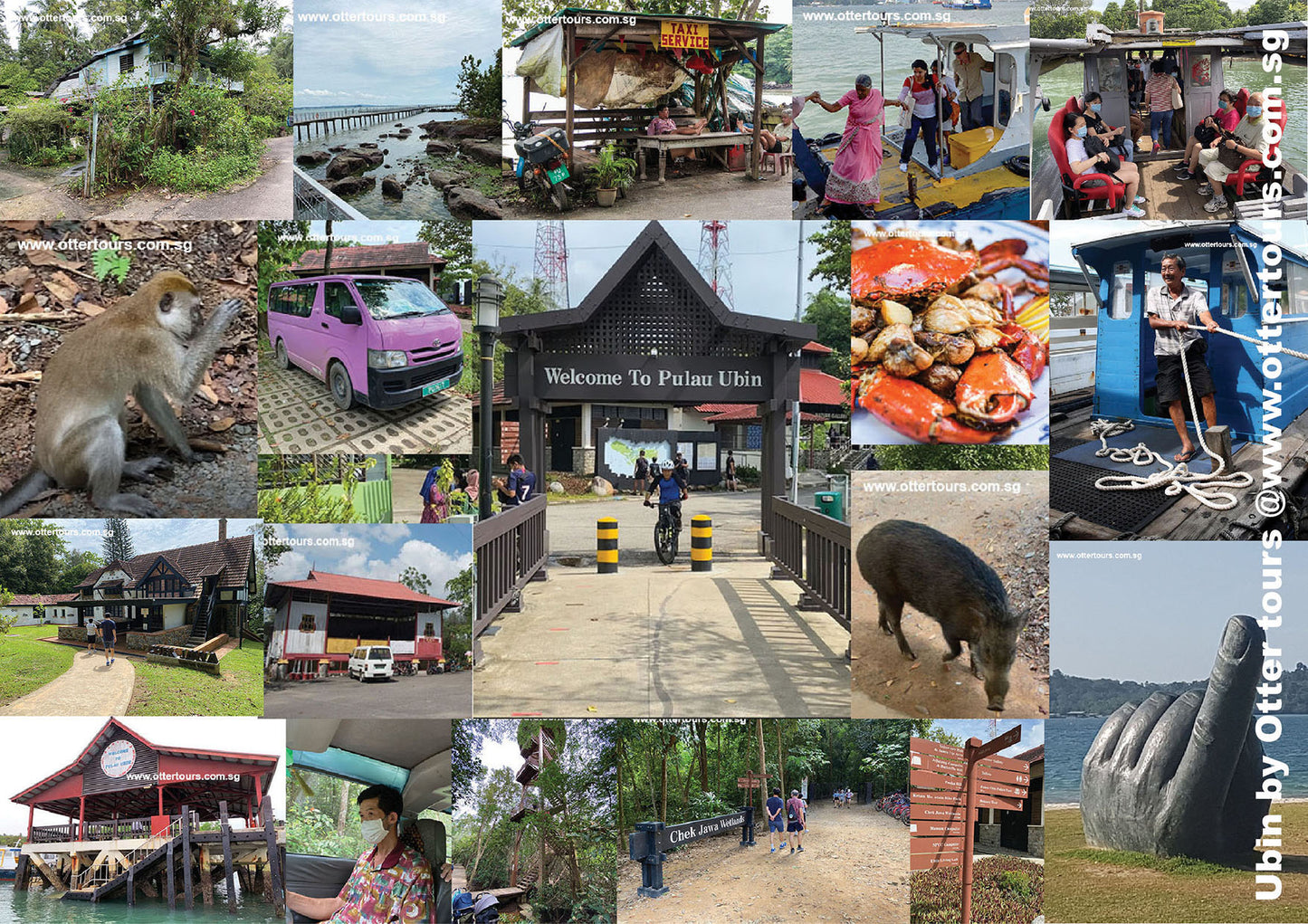 Pulau Ubin -Seafood Lunch and Chek Jawa Tour