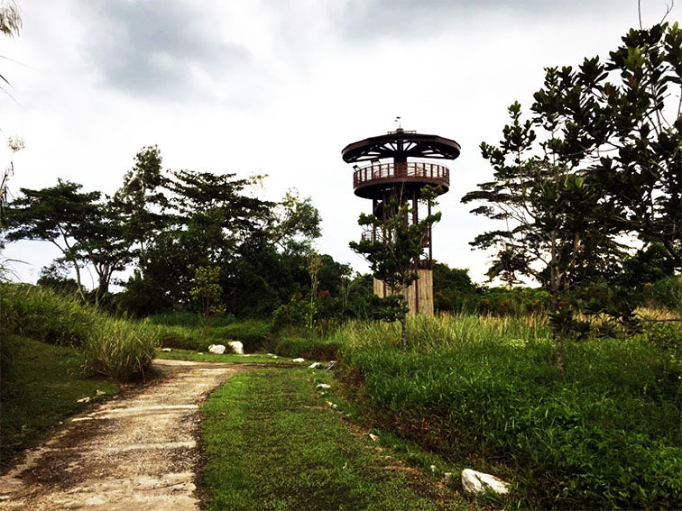 Kranji Countryside Tour with Farm Cafe Lunch and visit to various attractions at Kranji (5hrs)